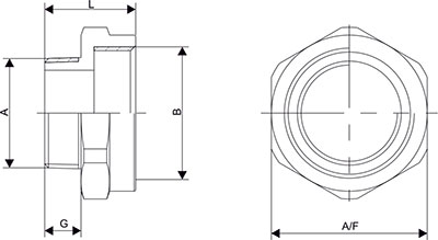 Adaptor NPT Diagram Adaptor NPT Diagram