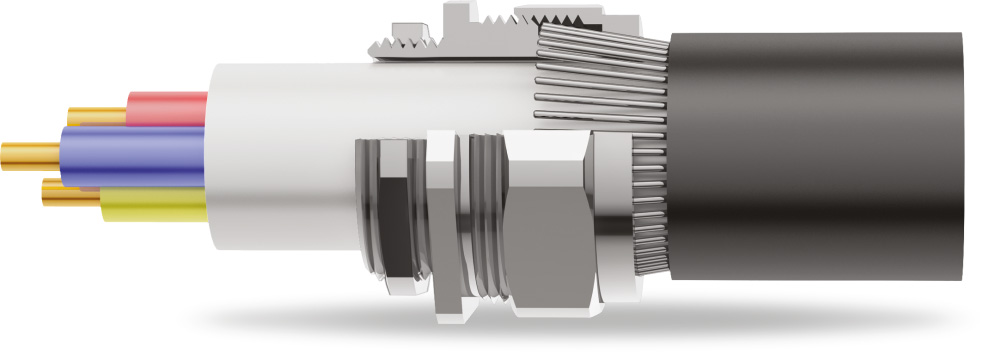 BW 2PT Armoured Cable Gland 3D Diagram BW 2PT Armoured Cable Gland 3D Diagram