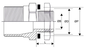 Cylindrical Cable Gland Thread Specification
