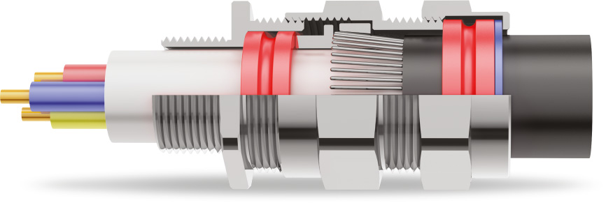E1W Double Compression Cable Gland 3D Diagram E1W Double Compression Cable Gland 3D Diagram