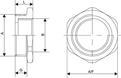 Reducer NPT diagram 2 Reducer NPT diagram 2